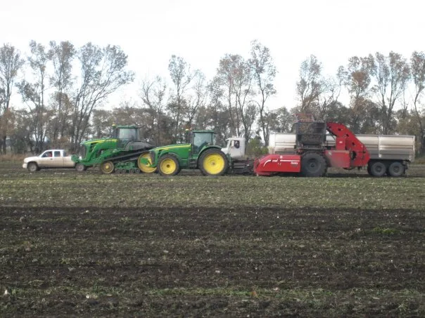 Sugar Beet Harvest