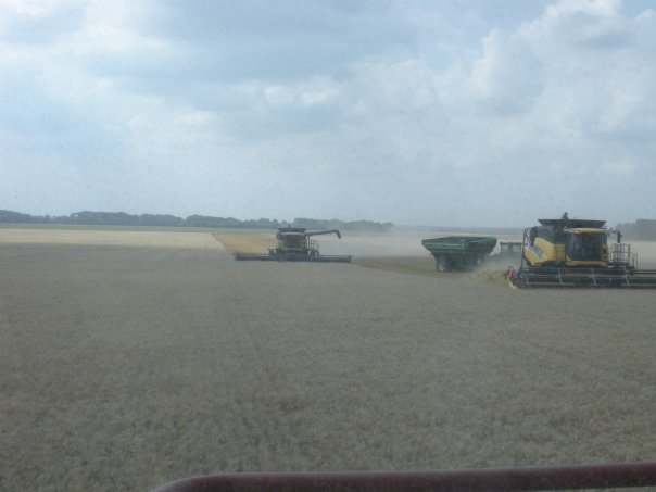 2010 Grain Harvest