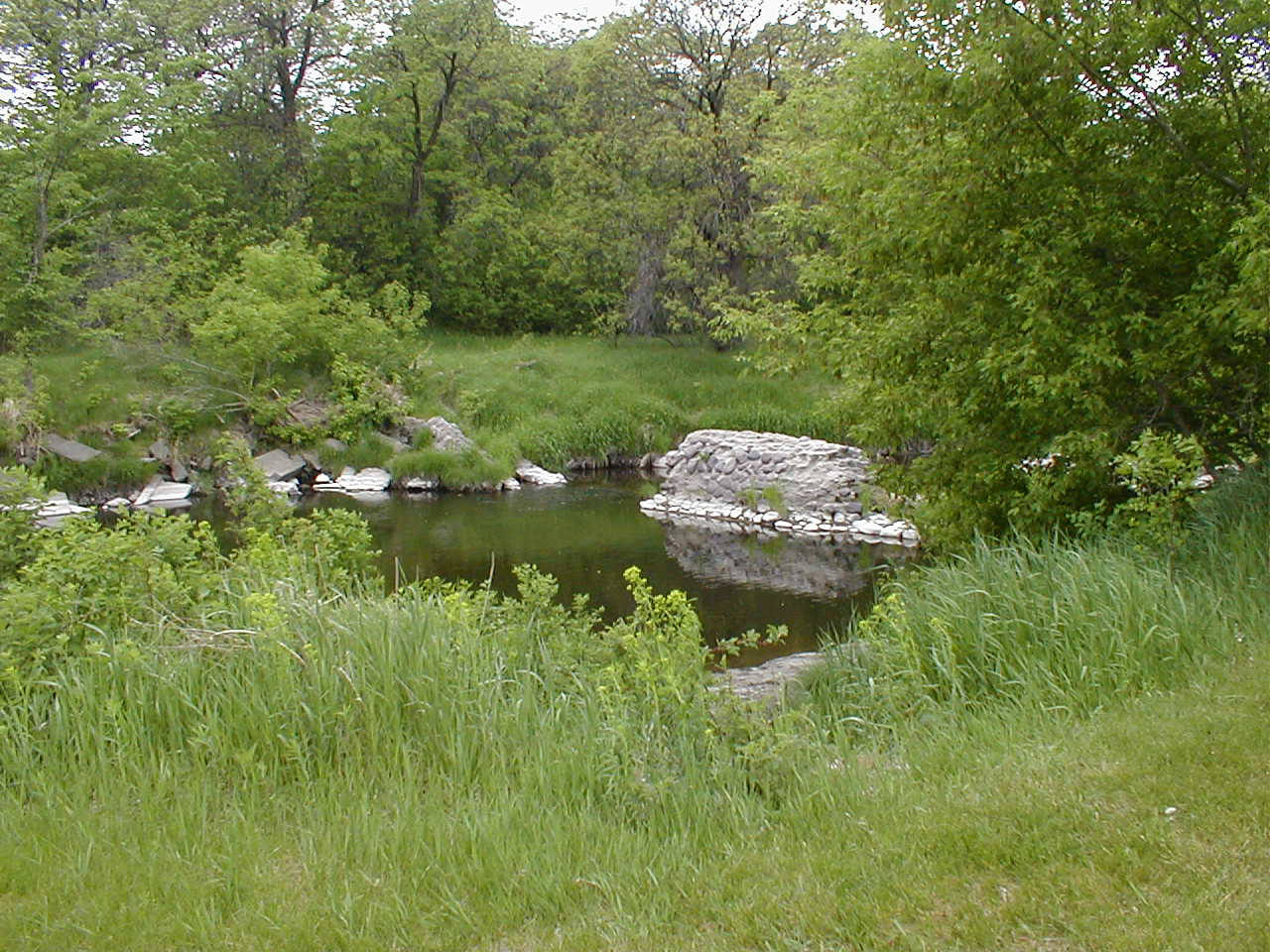 Remains of CCC Dam