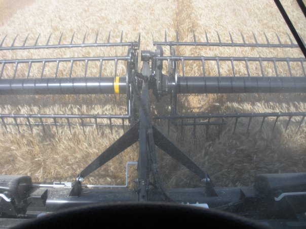 Grain Harvest 2010